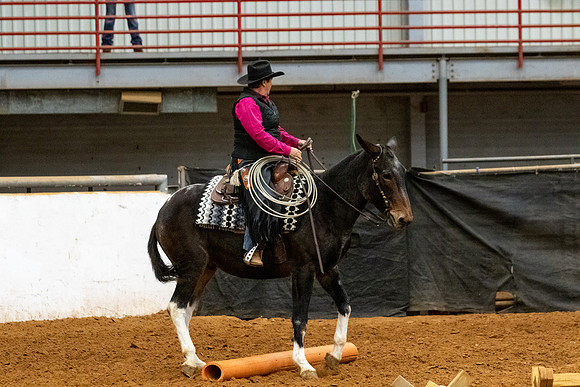 Mule&MustangFinals-102