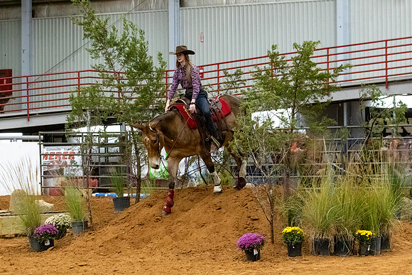 Mule&MustangFinals-7