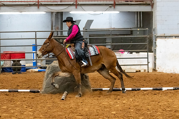 Mule&MustangFinals-133