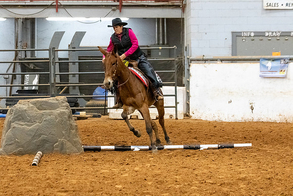 Mule&MustangFinals-132