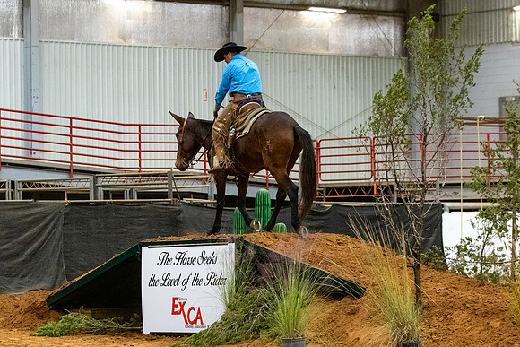 Mule&MustangFinals-74