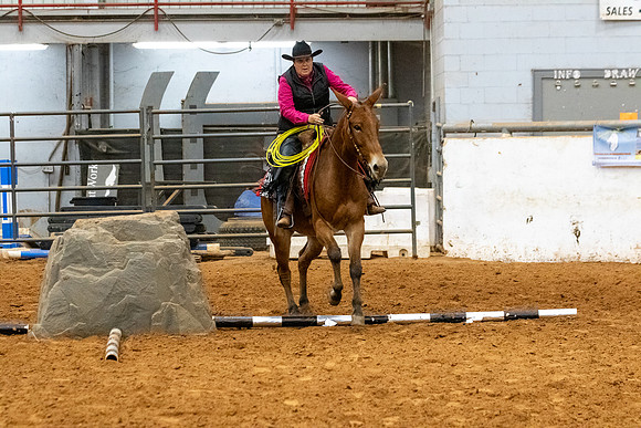 Mule&MustangFinals-134