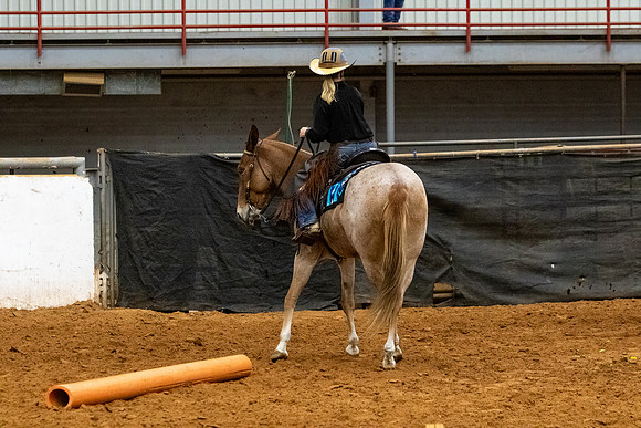 Mule&MustangFinals-45