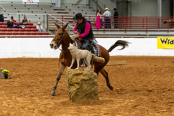 Mule&MustangFinals-136