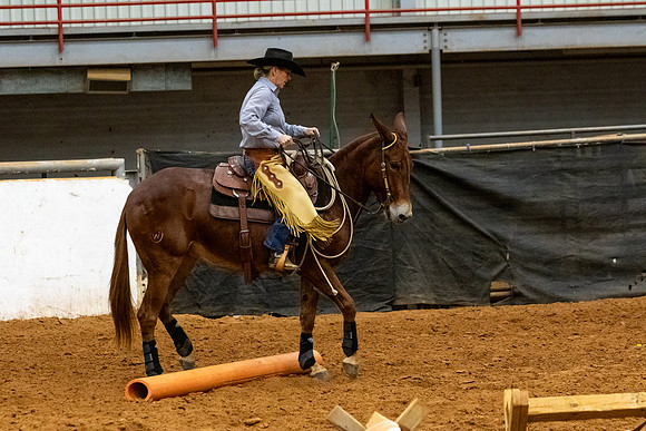 Mule&MustangFinals-214