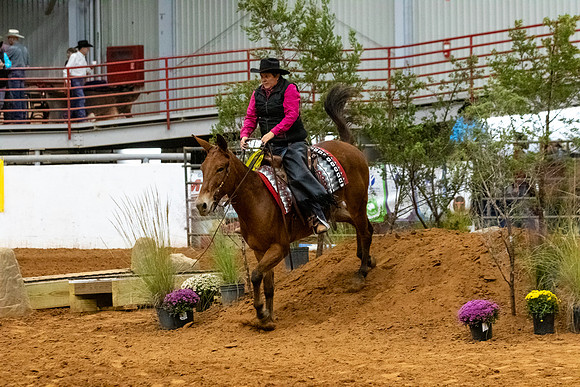 Mule&MustangFinals-139