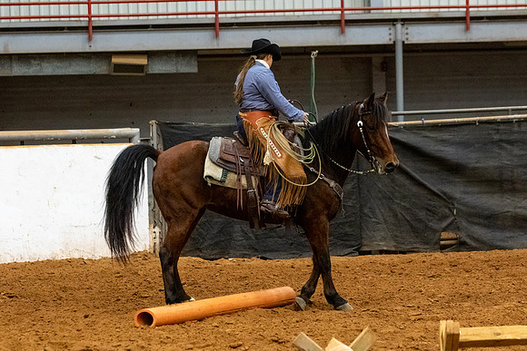 Mule&MustangFinals-312