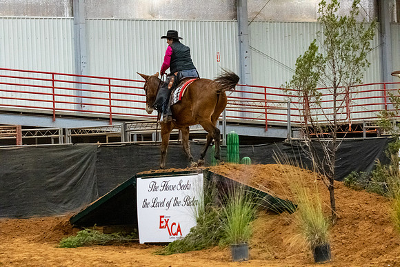 Mule&MustangFinals-145