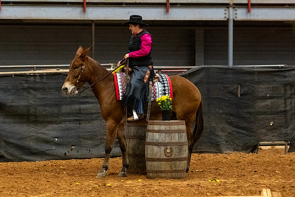 Mule&MustangFinals-148