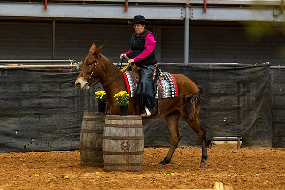 Mule&MustangFinals-149