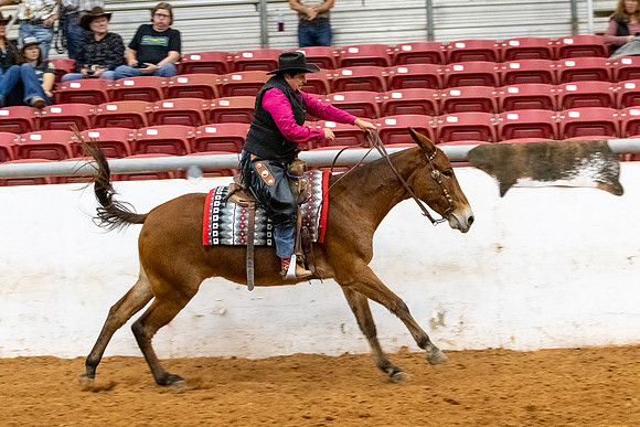 Mule&MustangFinals-155