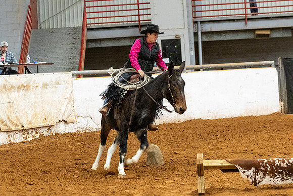 Mule&MustangFinals-90