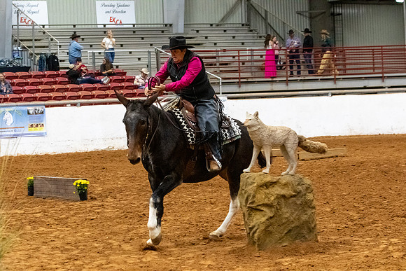 Mule&MustangFinals-92