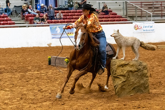 Ridesmart&FuturityFinals-7