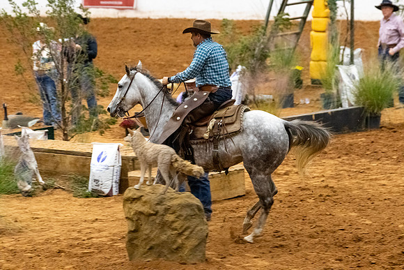 Ridesmart&FuturityFinals-257