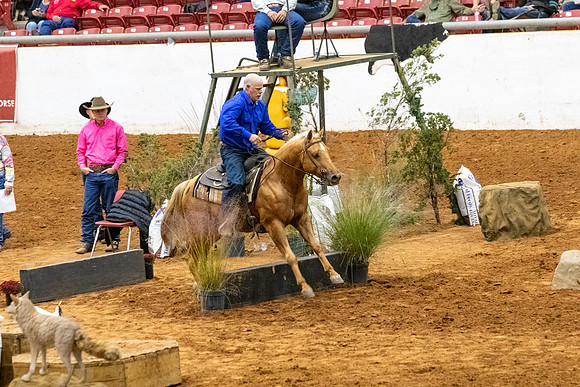 Ridesmart&FuturityFinals-241