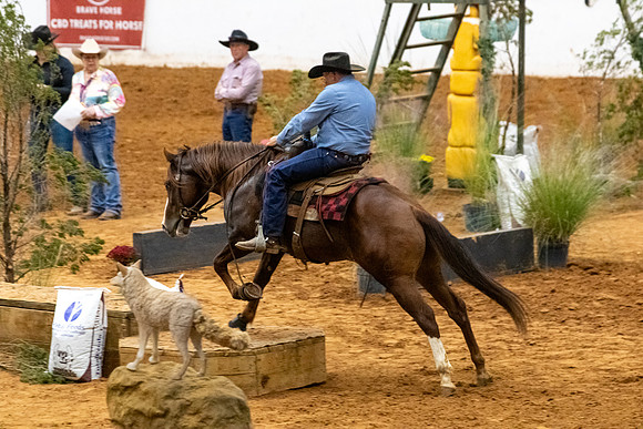 Ridesmart&FuturityFinals-205