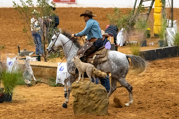 Ridesmart&FuturityFinals-258