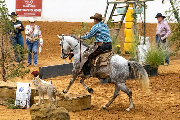 Ridesmart&FuturityFinals-260