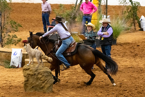 Ridesmart&FuturityFinals-288