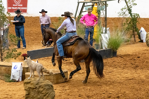 Ridesmart&FuturityFinals-291