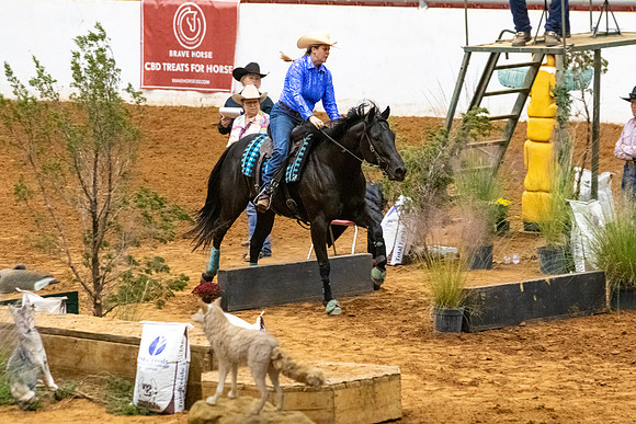 Ridesmart&FuturityFinals-223