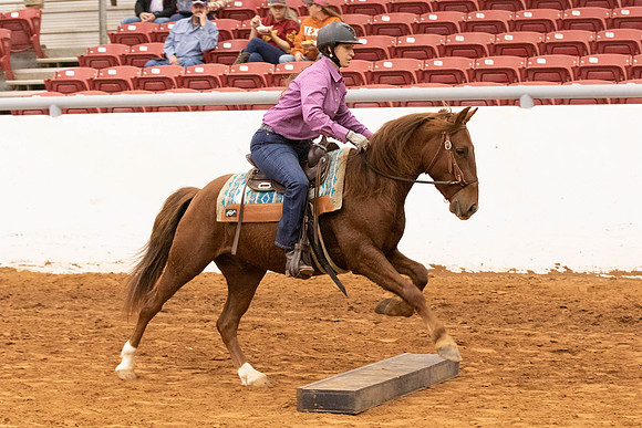 Mustang-4978