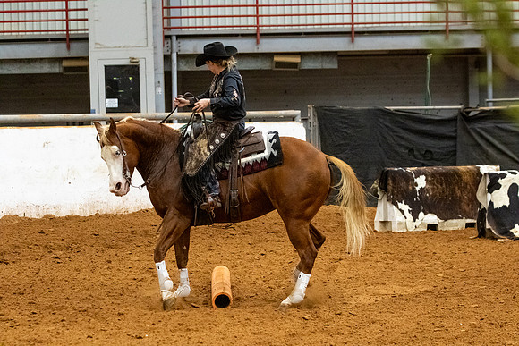 ProFinals-44