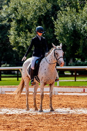 HorseShow-0711