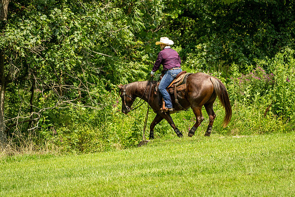 IMG_4429