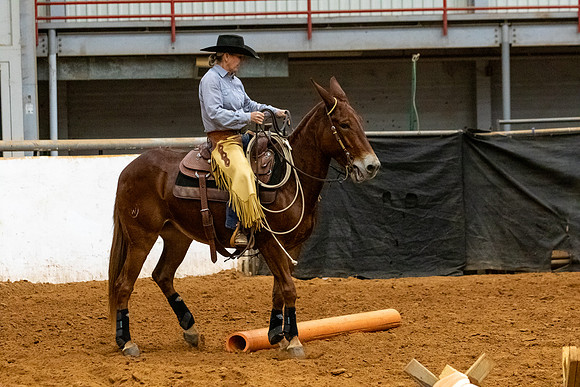Mule&MustangFinals-212