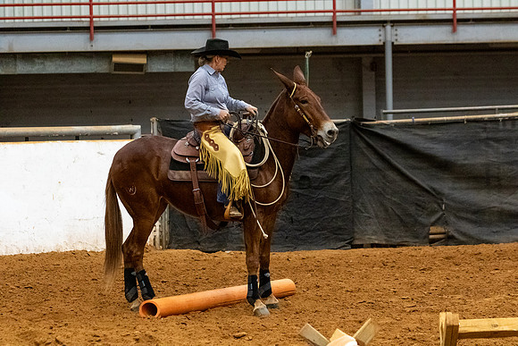 Mule&MustangFinals-213