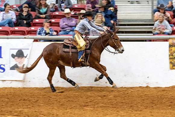 Mule&MustangFinals-218