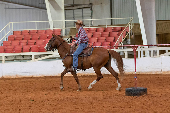 Tim-1385