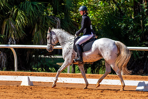 HorseShow-0628