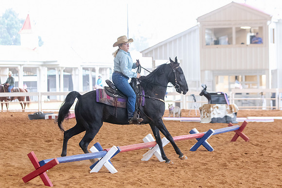 EXCARegionals-1054