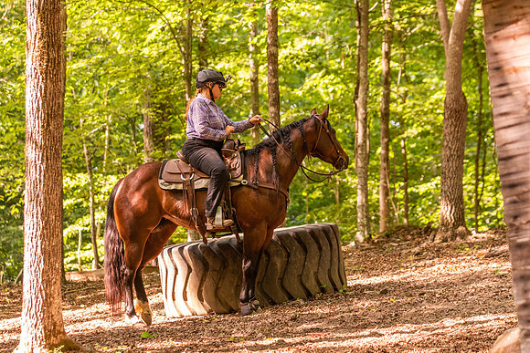 HodgesRace-6791
