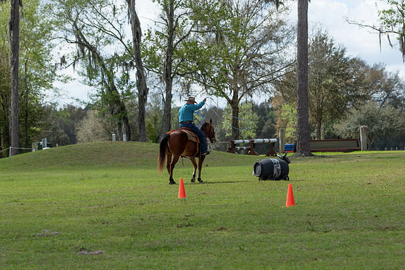 Bob-3266