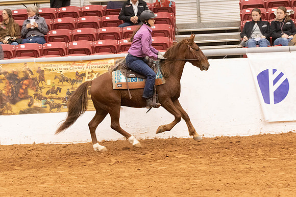 Mustang-4984