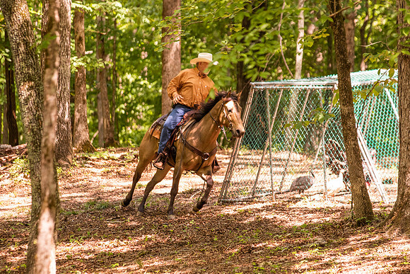 HodgesRace-5613
