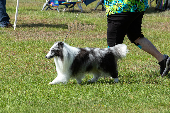 IABCAShow-3468