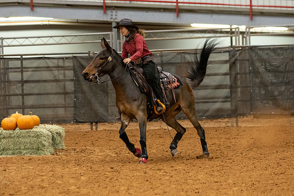 Mule&FuturityR2-105
