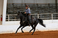 Terri-1140