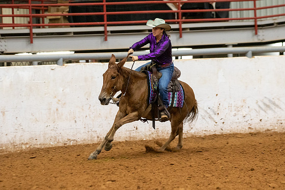 Mule&FuturityR2-235