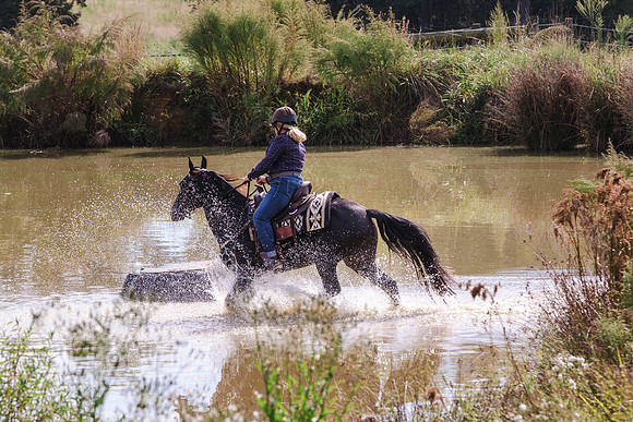 Terri Glonek-0419