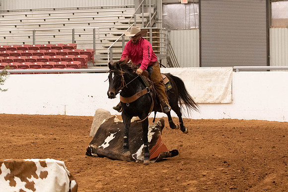 Futurity-6223