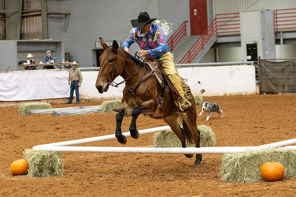 Mule&FuturityR2-184