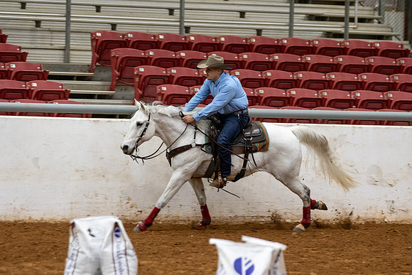 IntR1-230