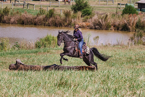 Terri-1751