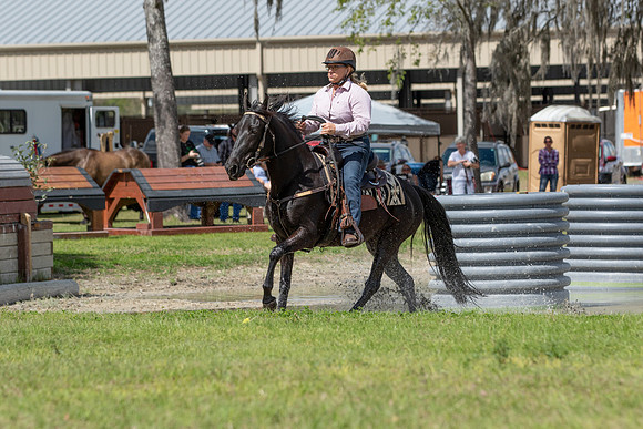 Terri-7565